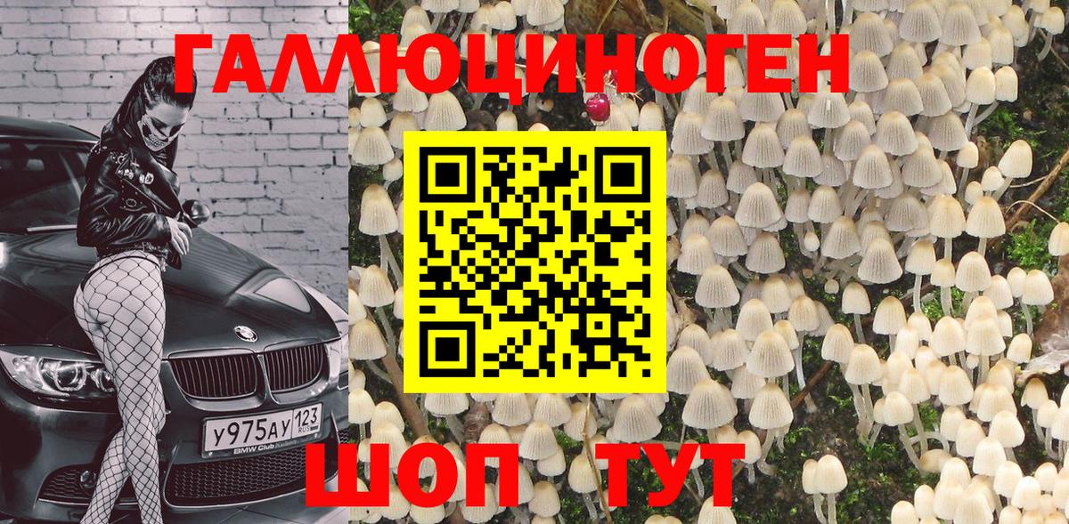 Псилоцибиновые грибы GOLDEN TEACHER  Галлюциногенные грибы Cubensis  Дальнереченск  Вход с VPN 